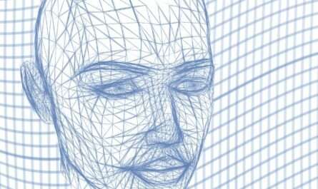 head, wireframe, face